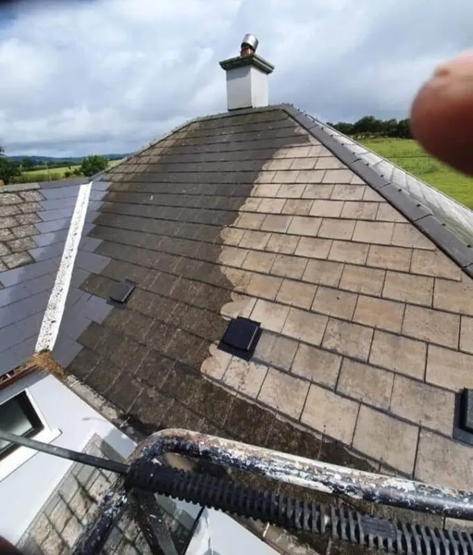 Roof Cleaning