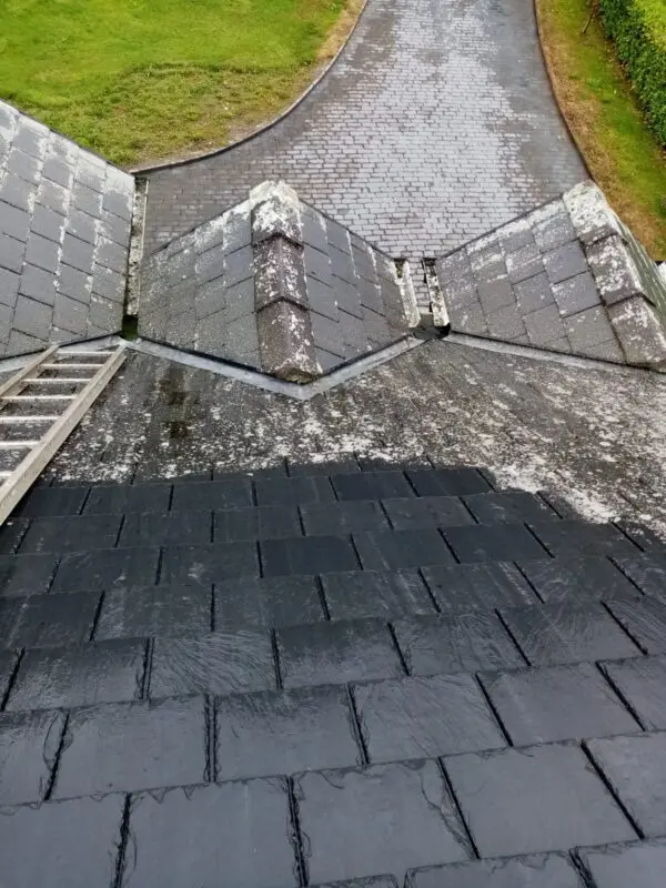 Roof Painting
