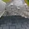 Roof Painting